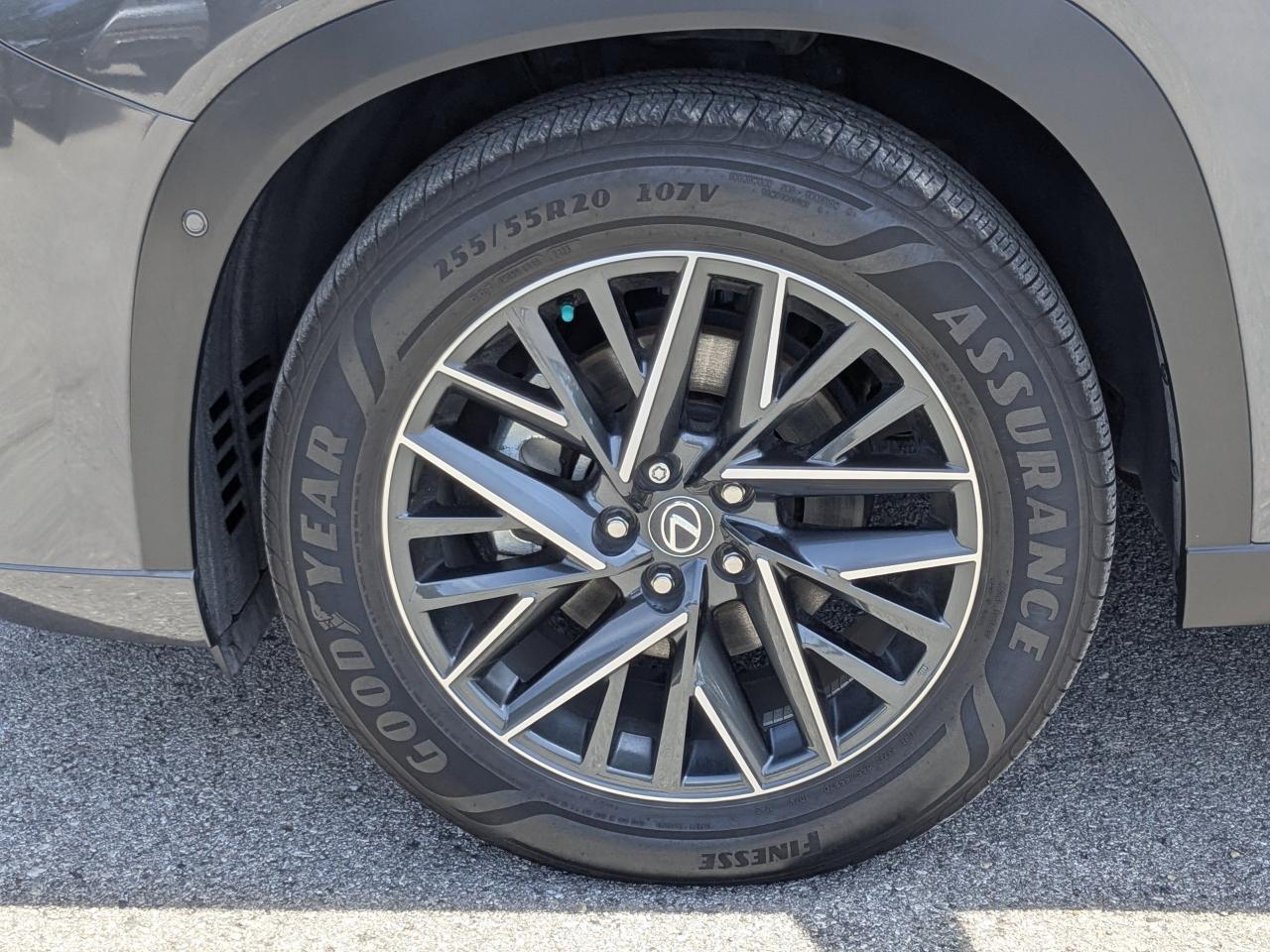 2025 Lexus TX 350 Premium San Antonio TX