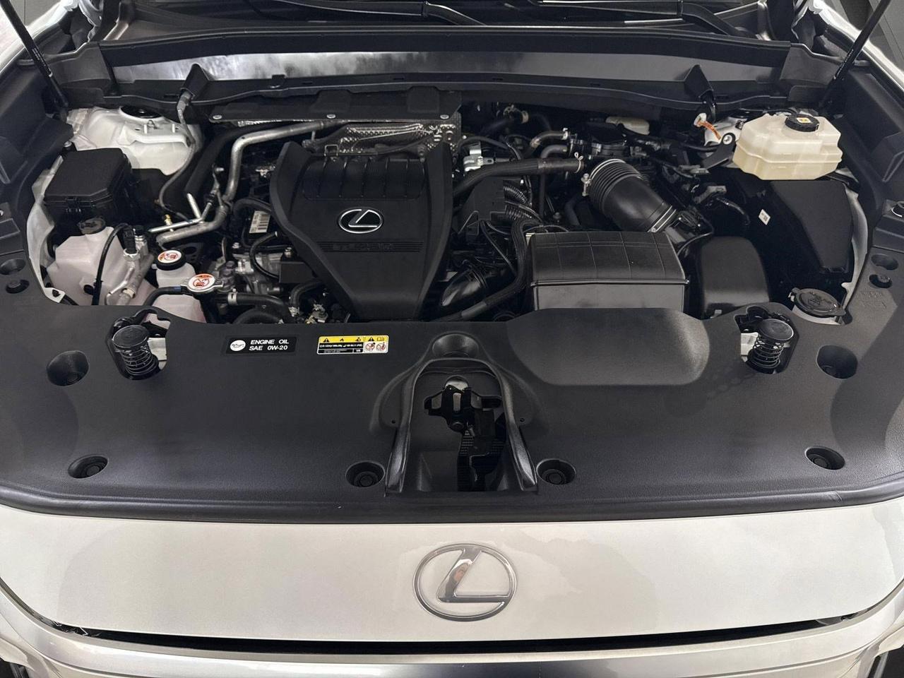 2025 Lexus TX 500h F SPORT Premium San Antonio TX