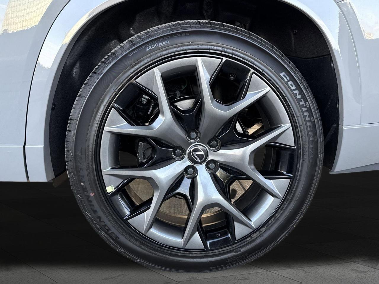 2025 Lexus TX 500h F SPORT Premium San Antonio TX