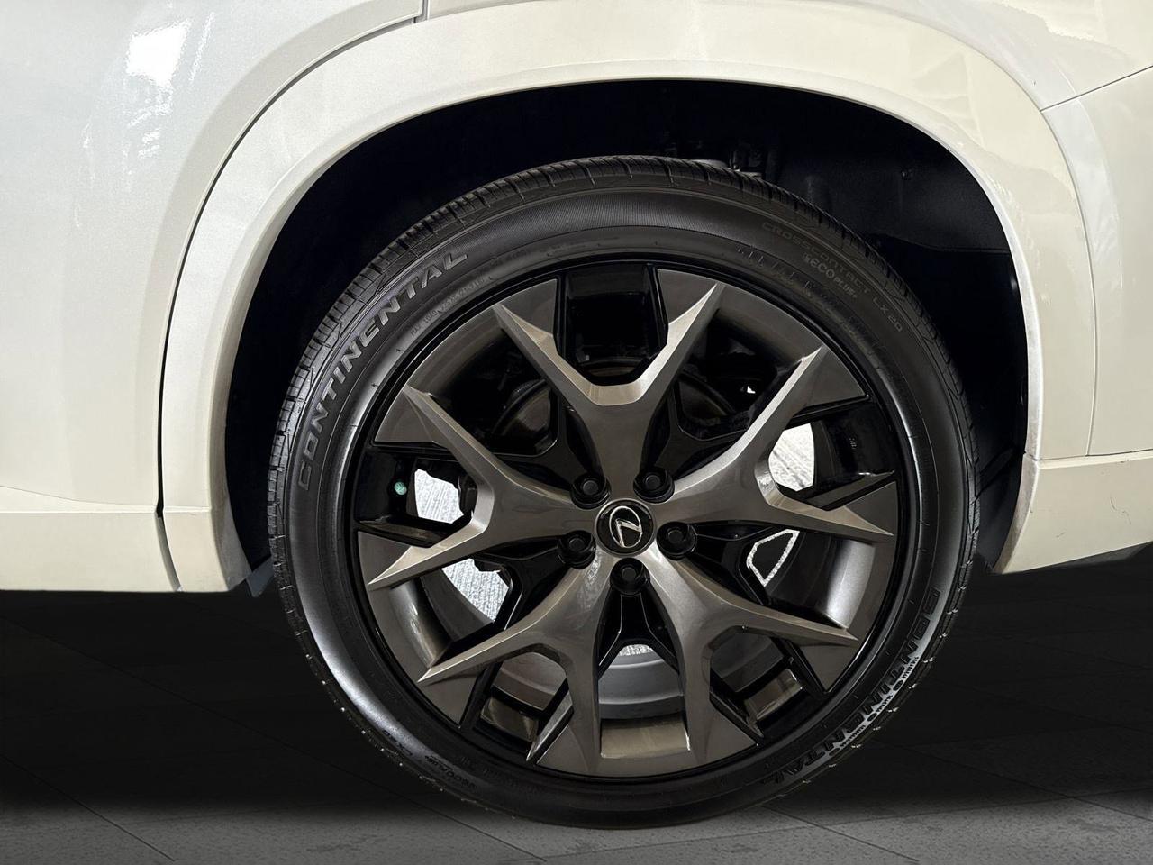 2025 Lexus TX 500h F SPORT Premium San Antonio TX