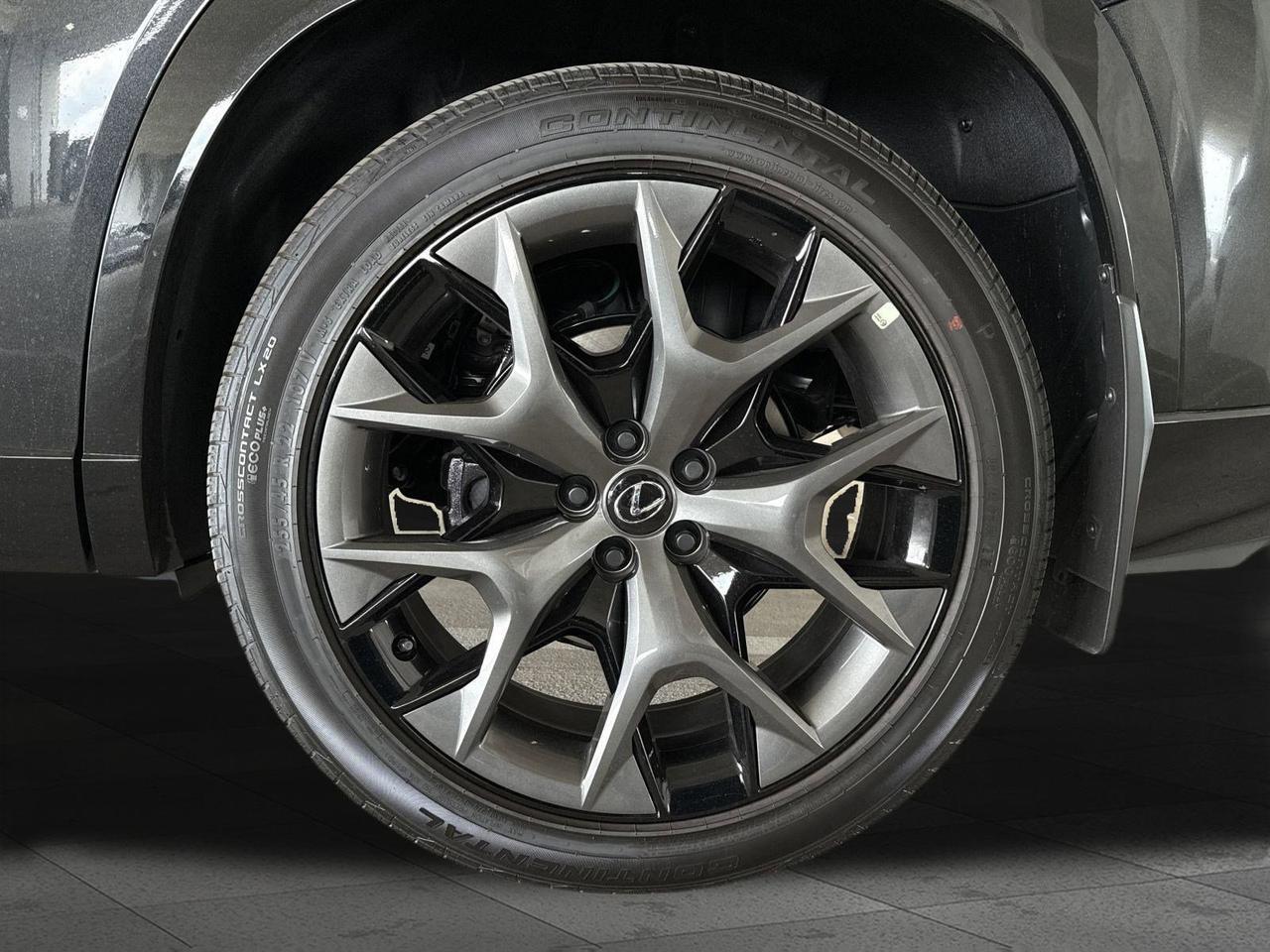 2025 Lexus TX 500h F SPORT Premium San Antonio TX