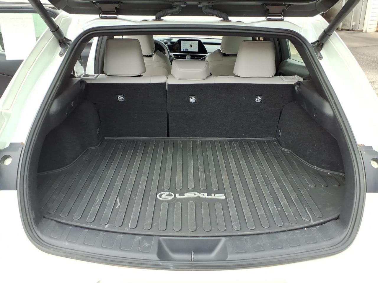 2025 Lexus UX 300h Base Roanoke VA
