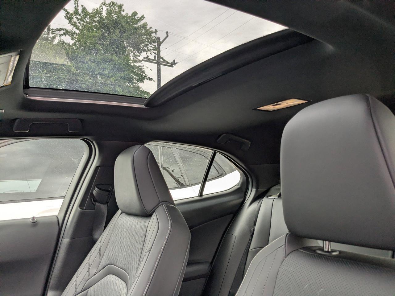2025 Lexus UX 300h F SPORT Design San Antonio TX