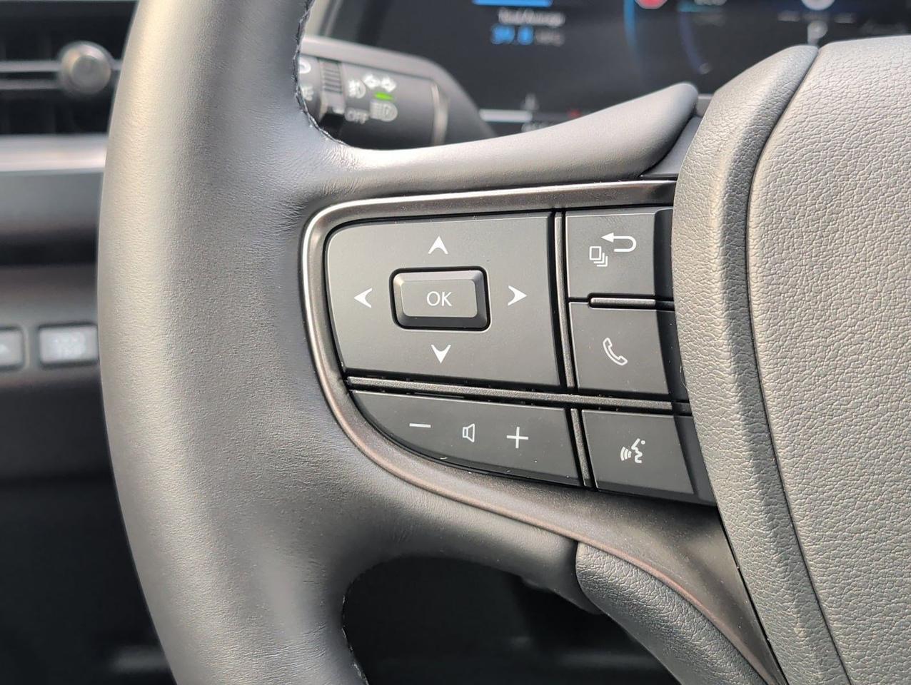 2025 Lexus UX 300h F SPORT Design San Juan TX