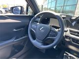 2025 Lexus UX 300h F SPORT Design San Diego County CA