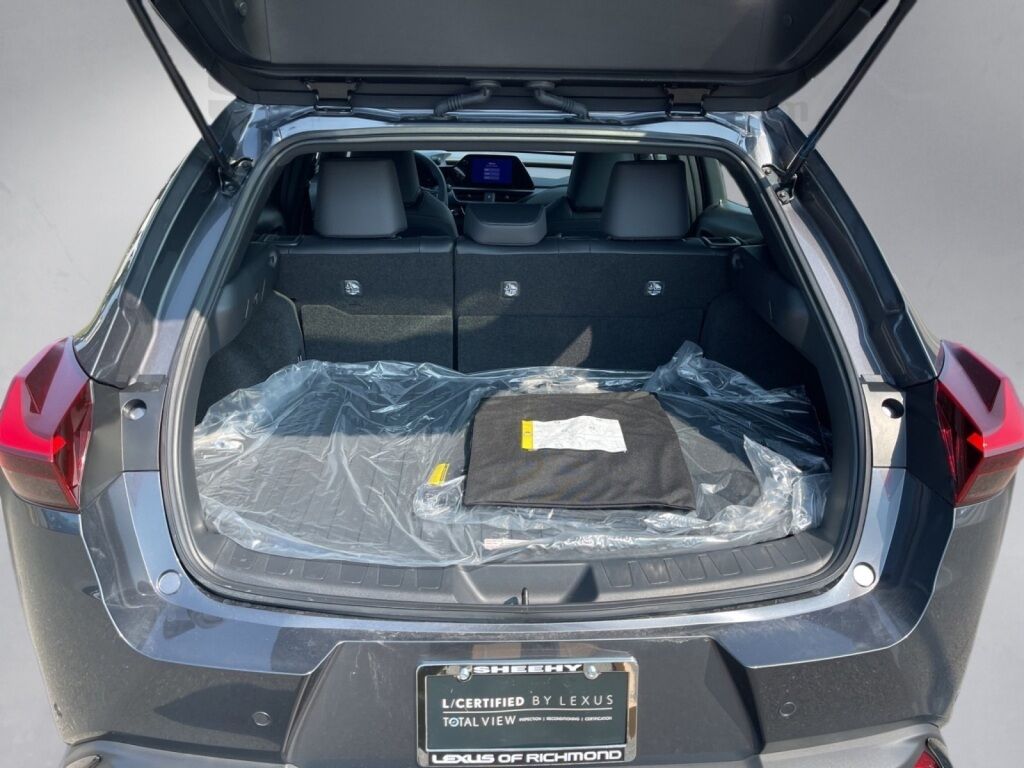 2025 Lexus UX 300h F SPORT Design Richmond VA