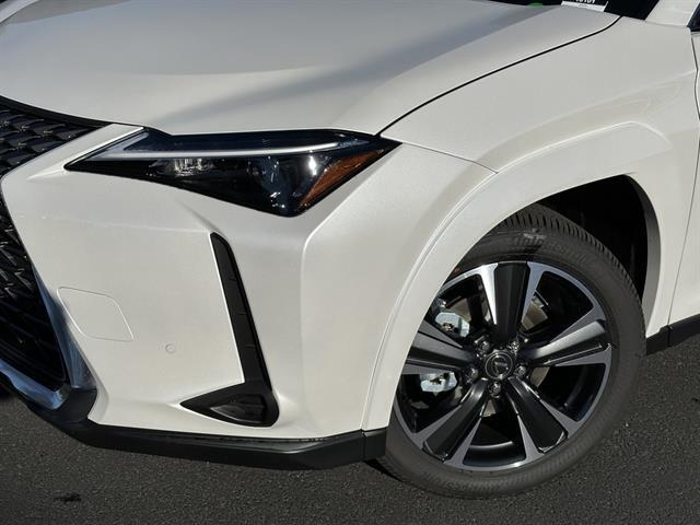 2025 Lexus UX 300h PREMIUM
