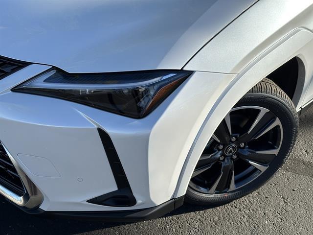 2025 Lexus UX 300h PREMIUM
