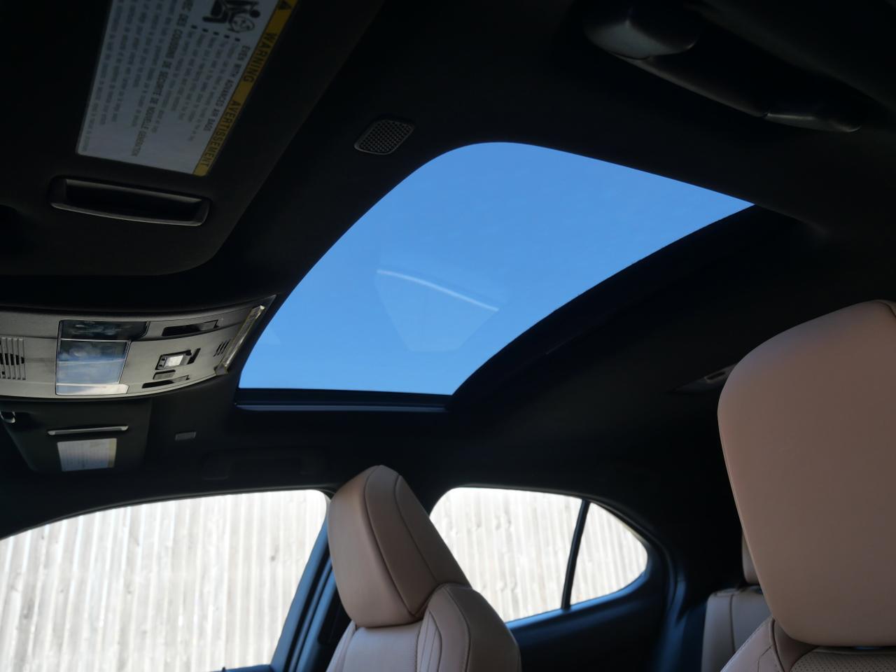 2025 Lexus UX 300h Premium San Juan TX