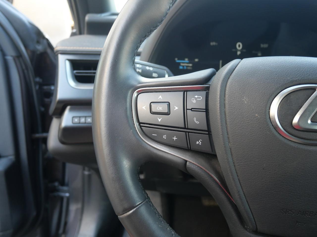 2025 Lexus UX 300h Premium San Juan TX