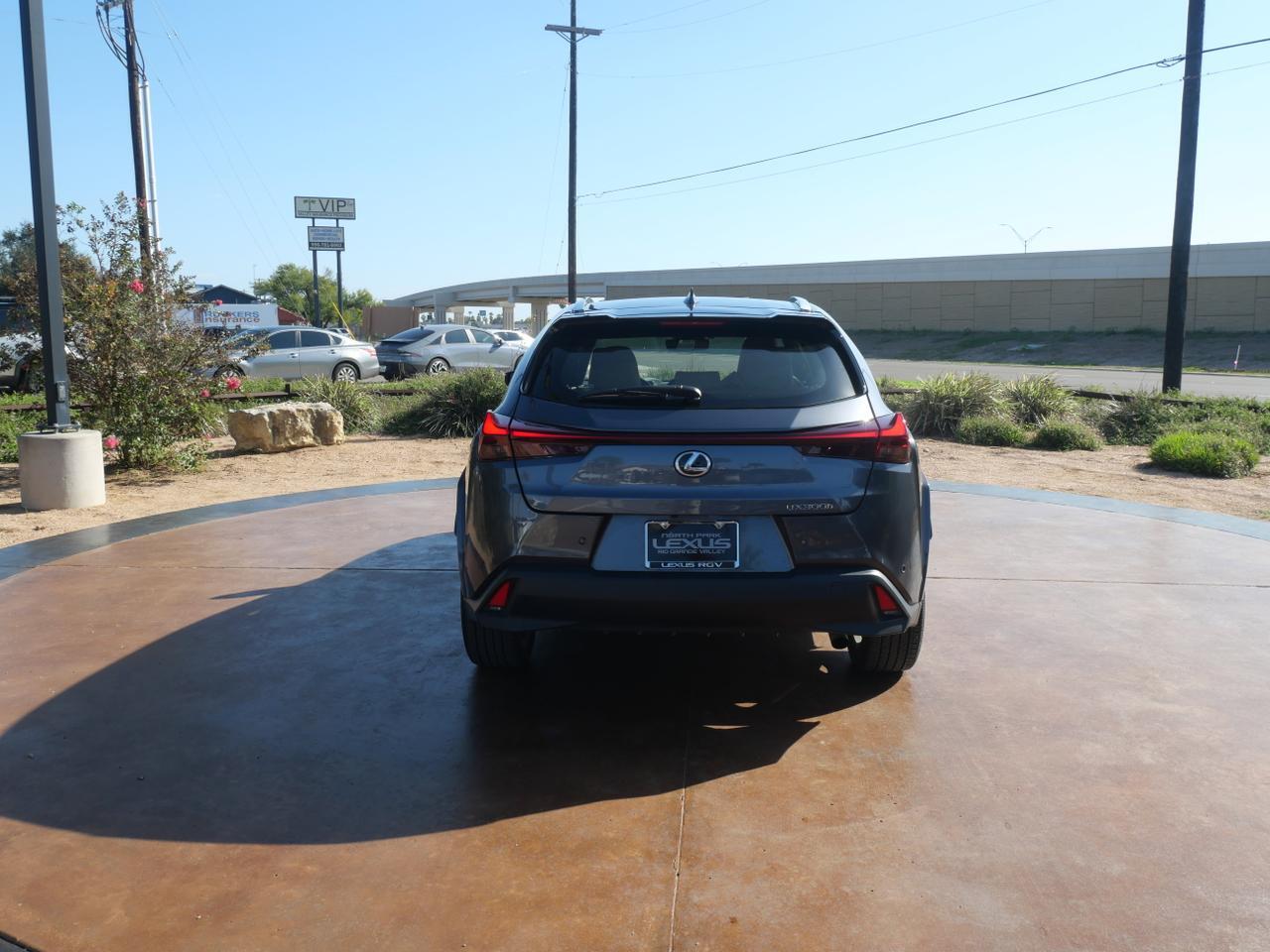 2025 Lexus UX 300h Premium