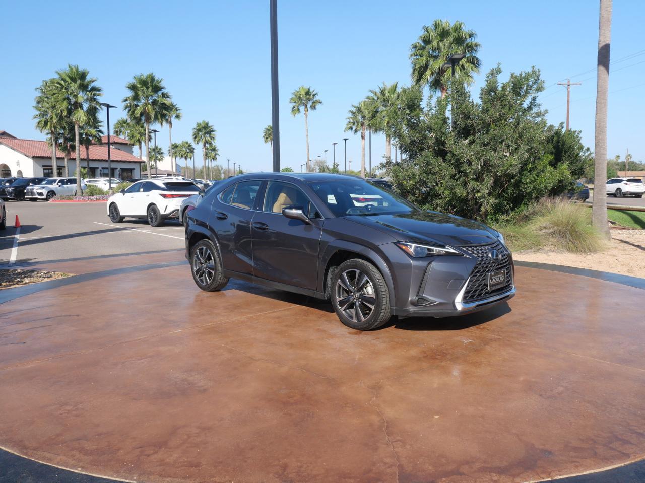 2025 Lexus UX 300h Premium
