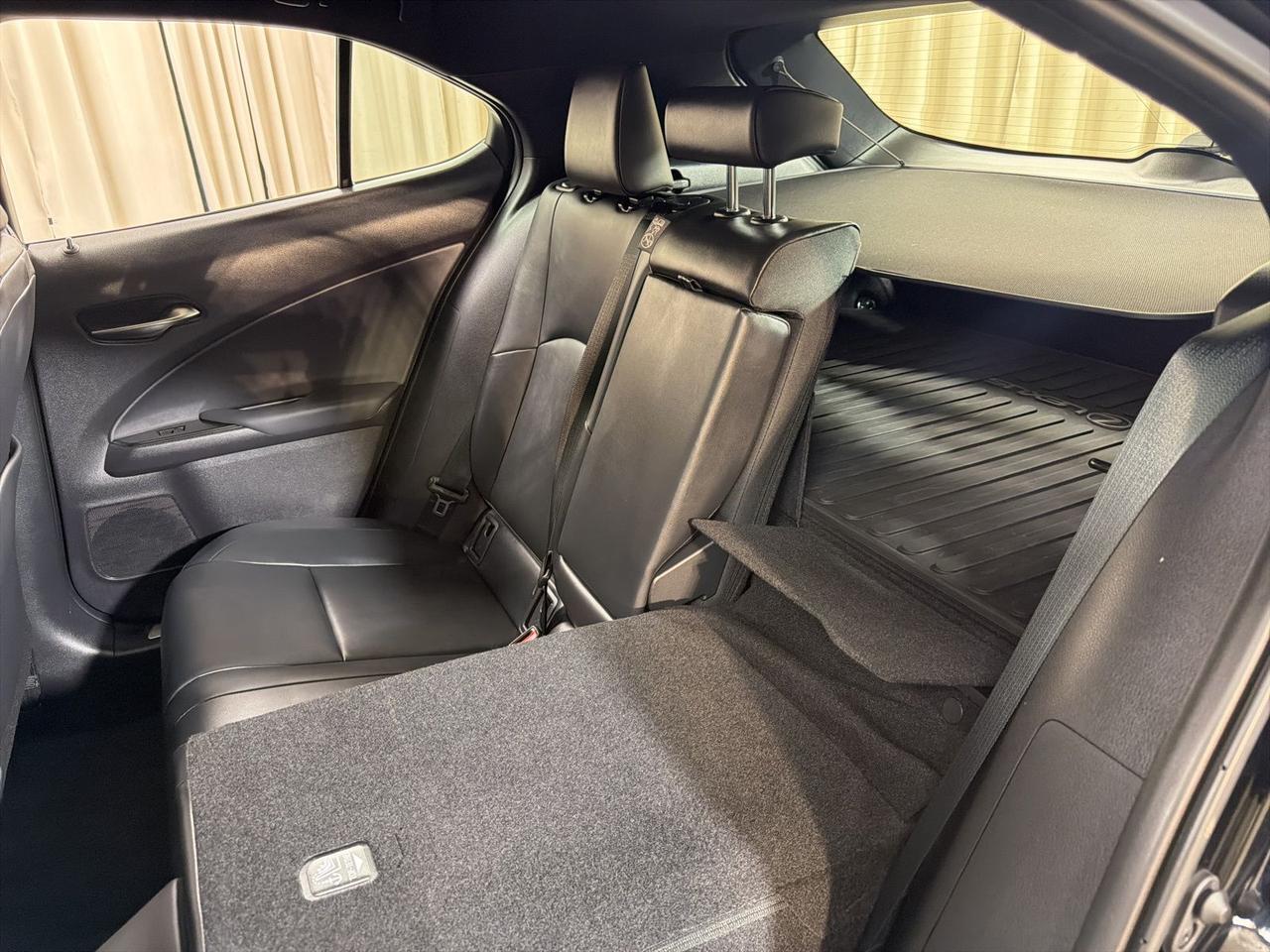 2025 Lexus UX 300h Premium Annapolis MD