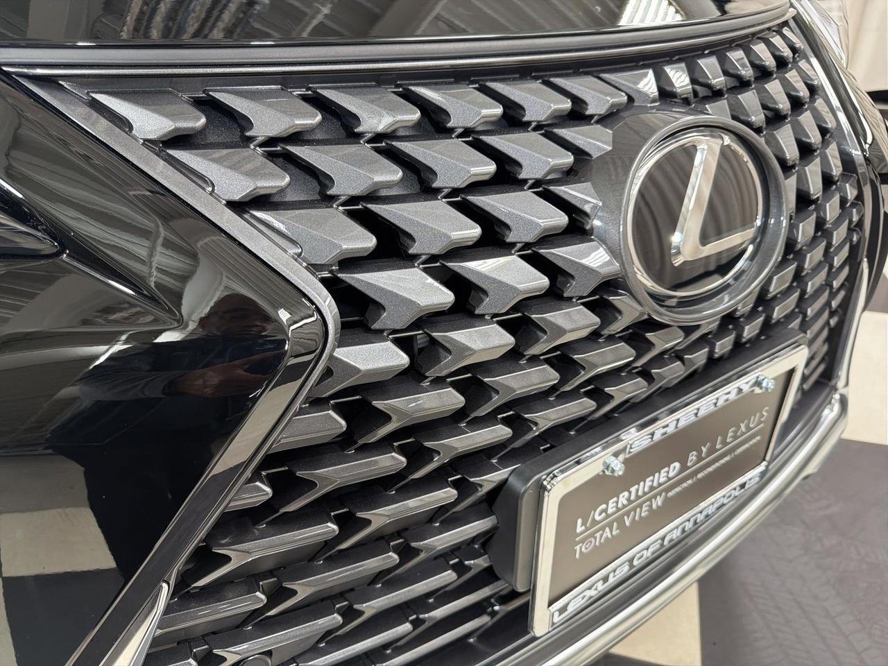 2025 Lexus UX 300h Premium Annapolis MD
