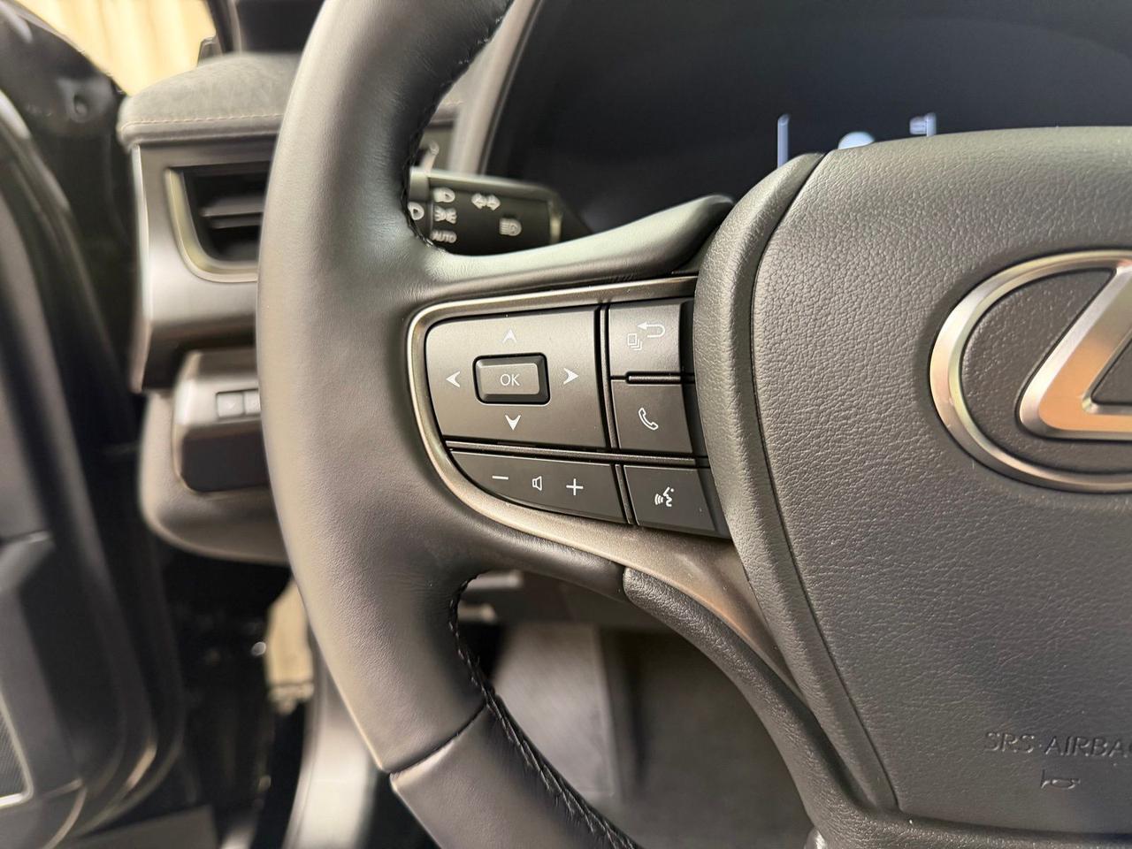 2025 Lexus UX 300h Premium Annapolis MD