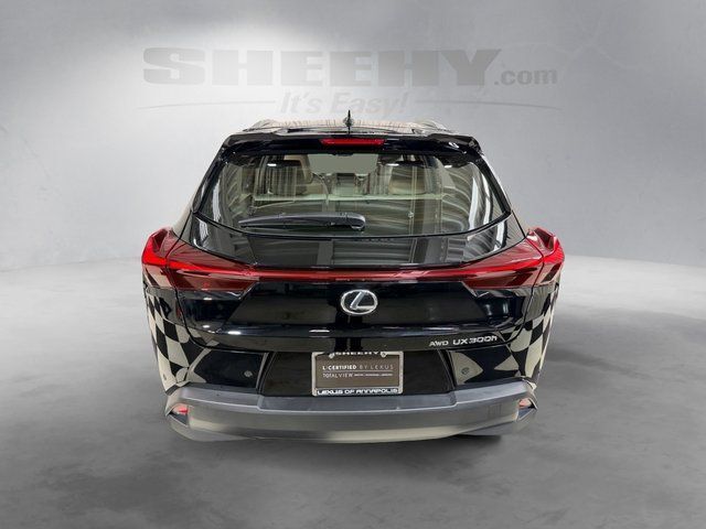 2025 Lexus UX 300h Premium Annapolis MD