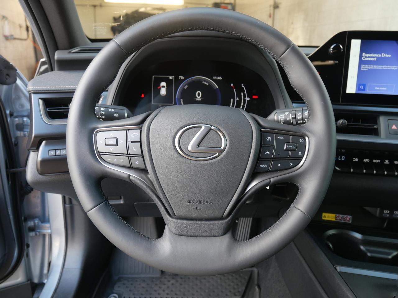 2025 Lexus UX 300h San Juan TX