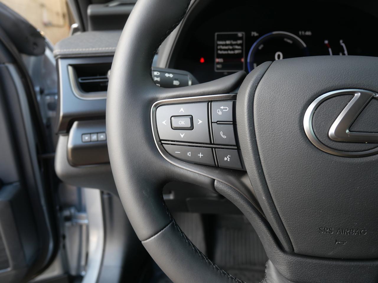 2025 Lexus UX 300h San Juan TX