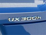 2025 Lexus UX 300h San Diego County CA 2025 Lexus UX 300h San Diego County CA