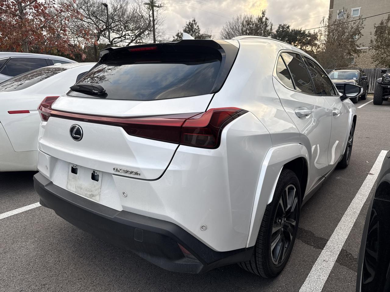 2025 Lexus UX BASE San Antonio TX