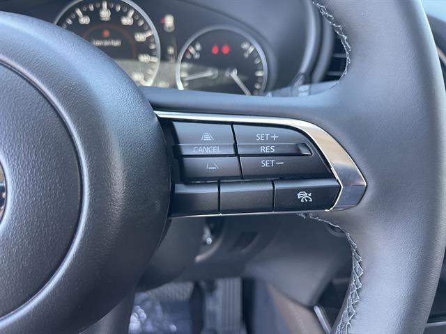 2025 Mazda CX-30 2.5 S Premium Package Peoria AZ
