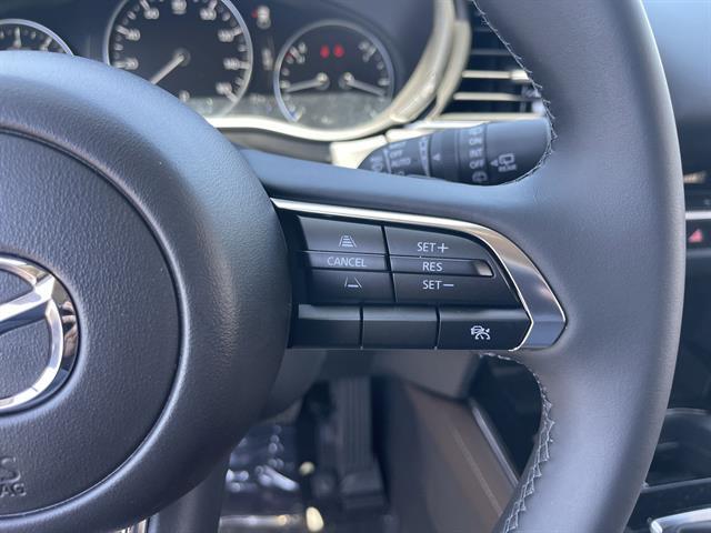 2025 Mazda CX-30 2.5 S Premium Package Peoria AZ