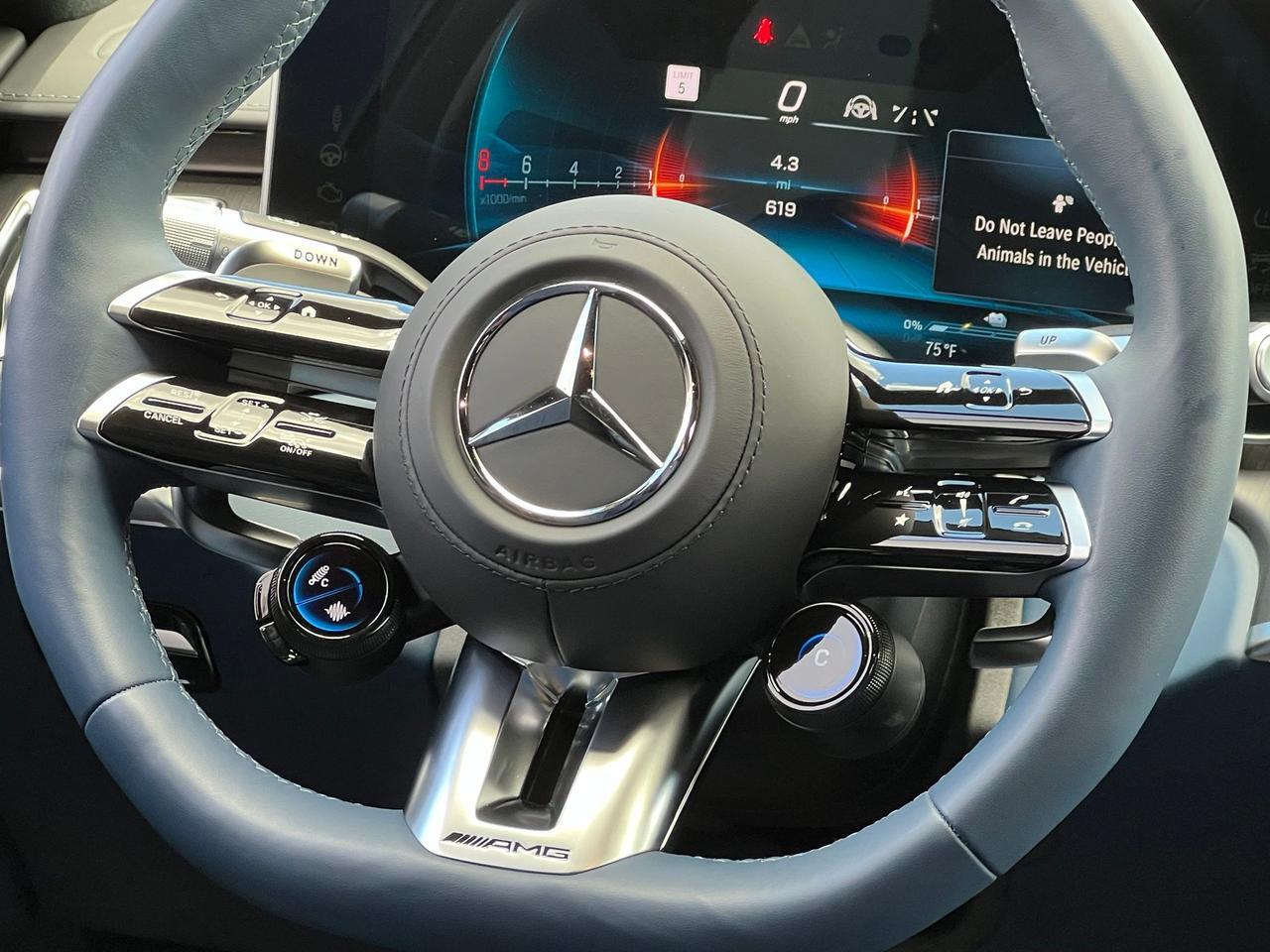 2025 Mercedes-Benz S-Class S 63 E AMG&reg; Indianapolis IN