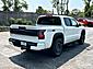 2025 Nissan Frontier PRO-4X Glendale Heights IL