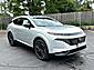 2025 Nissan Murano Platinum Hoffman Estates IL