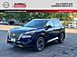 2025 Nissan Rogue Platinum Glendale Heights IL