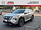 2025 Nissan Rogue Platinum Glendale Heights IL