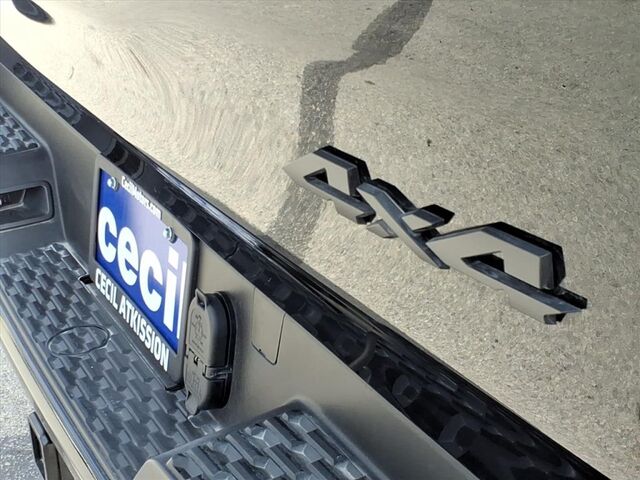 2025 Ram 1500 Lone Star TX 2025 Ram 1500 Lone Star TX