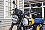 2025 Royal Enfield Bear 650 Wild Honey Custom Boston MA