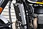 2025 Royal Enfield Bear 650 Wild Honey Custom Boston MA