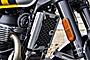 2025 Royal Enfield Bear 650 Wild Honey Custom Boston MA