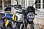2025 Royal Enfield Bear 650 Wild Honey Custom Boston MA