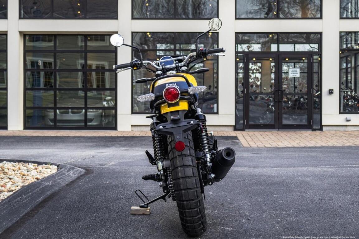 2025 Royal Enfield Bear 650 Wild Honey Custom Boston MA