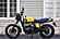 2025 Royal Enfield Bear 650 Wild Honey Custom Boston MA