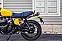 2025 Royal Enfield Bear 650 Wild Honey Custom Boston MA