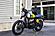 2025 Royal Enfield Bear 650 Wild Honey Custom Boston MA