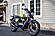 2025 Royal Enfield Bear 650 Wild Honey Custom Boston MA