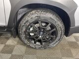 2025 Subaru Crosstrek Wilderness Oshkosh WI