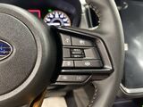 2025 Subaru Crosstrek Wilderness Oshkosh WI