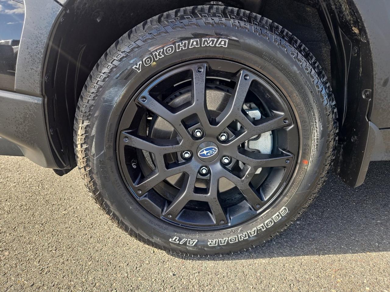 2025 Subaru Crosstrek Wilderness Fredericksburg VA