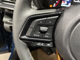 2025 Subaru Forester Wilderness Oshkosh WI