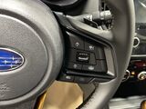 2025 Subaru Forester Wilderness Oshkosh WI