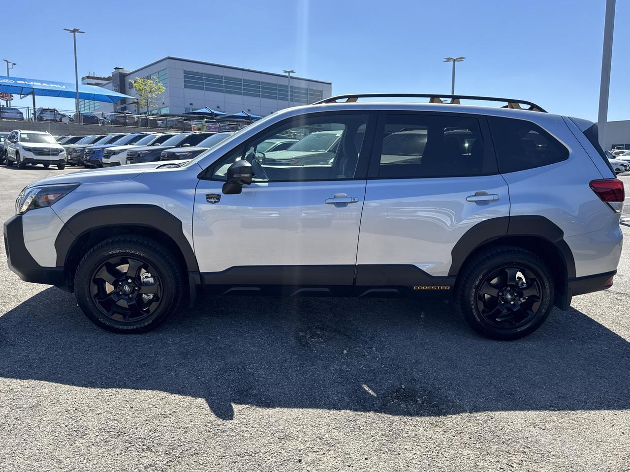 2025 Subaru Forester Wilderness San Antonio TX