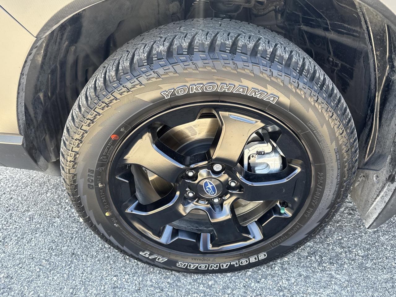 2025 Subaru Forester Wilderness San Antonio TX