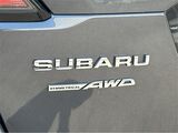 2025 Subaru Outback Premium San Diego County CA