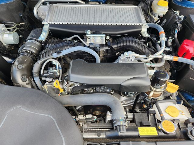 2025 Subaru Outback Wilderness Grapevine TX